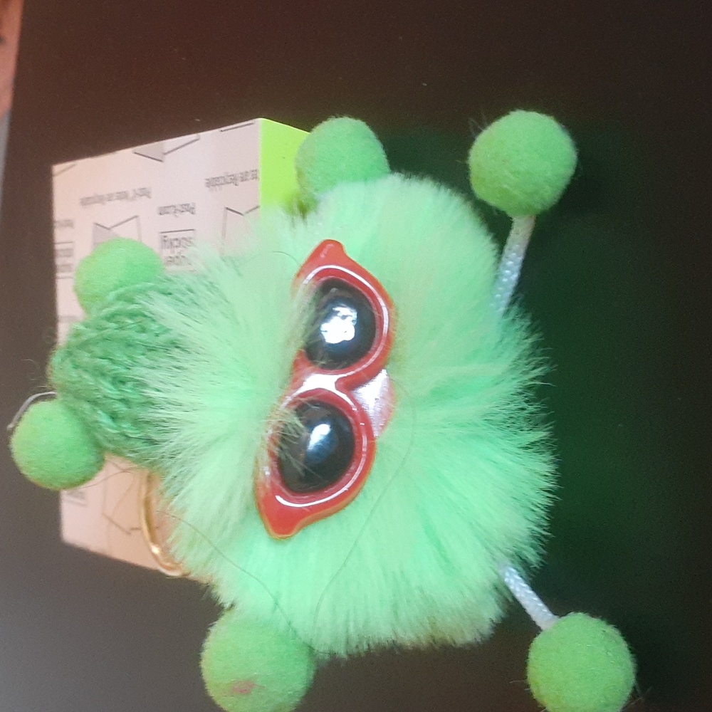 NWOT keychain